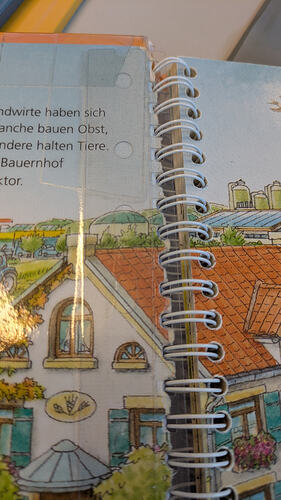 PXL_20260110_080739607